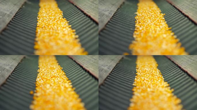 车间机器过玉米种子