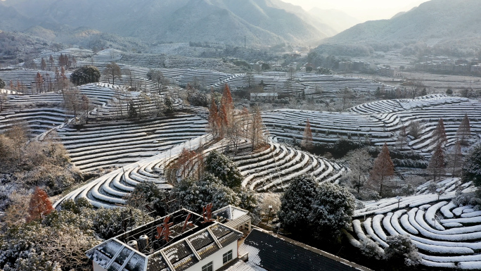 浙江义乌大陈茶园雪景风光航拍