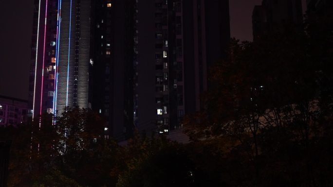 疫情武汉夜景 疫情武汉 疫情武汉大桥