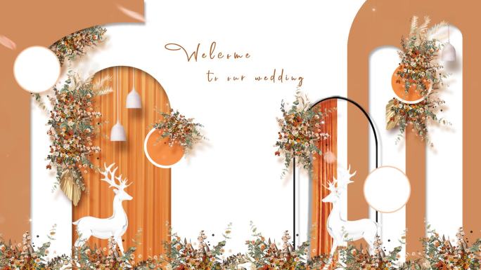 XZZ12橙色婚礼led视频logo背景