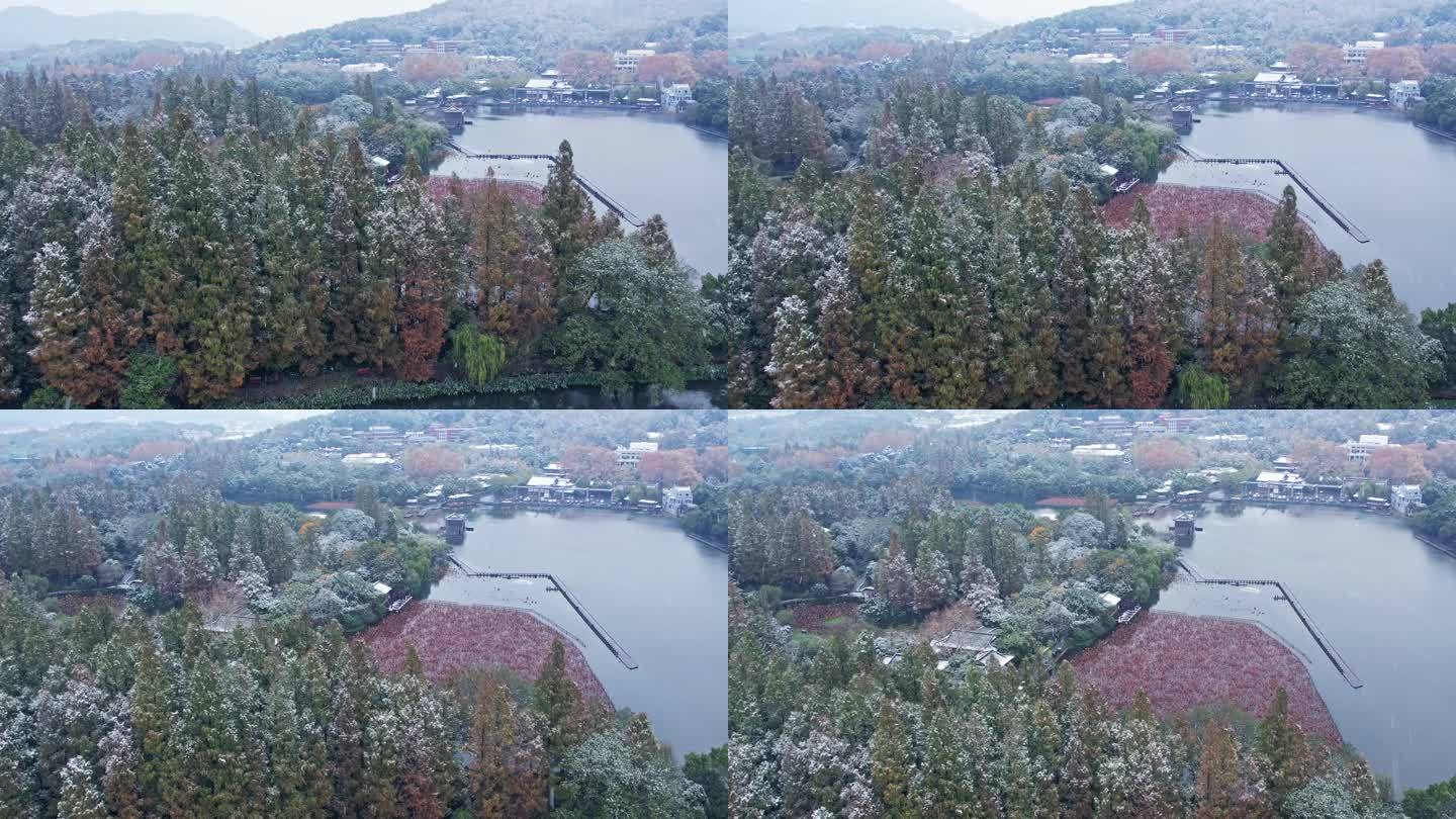 杭州西湖雪景