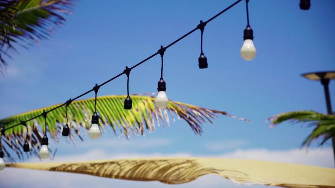 海滩派对装饰灯海边风景灯泡装饰风吹棕榈树