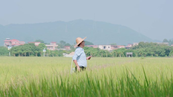 农业技术专家