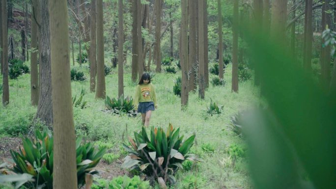 美女森林树林散步视频素材