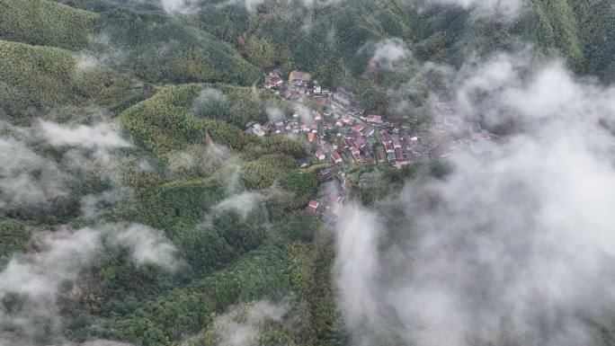 航拍江南竹林竹山竹海山村农村雨后云雾水墨