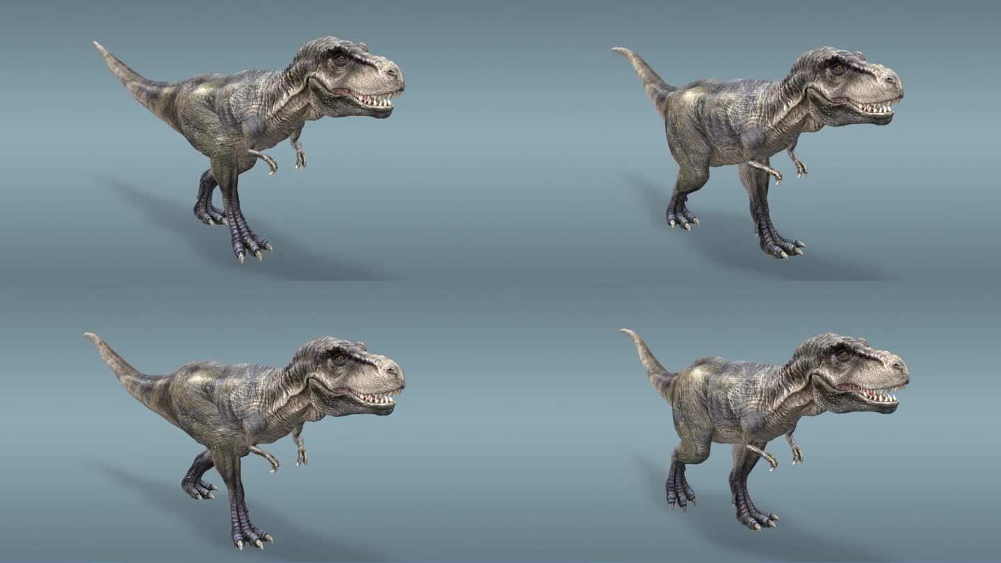 恐龙 霸王龙 骨架 考古 史前时代动画