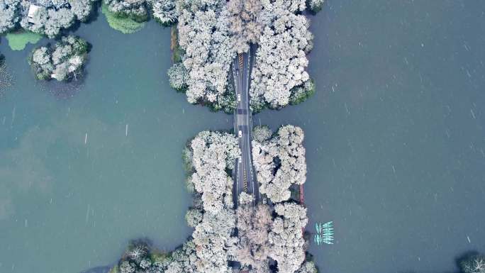 杭州西湖雪景