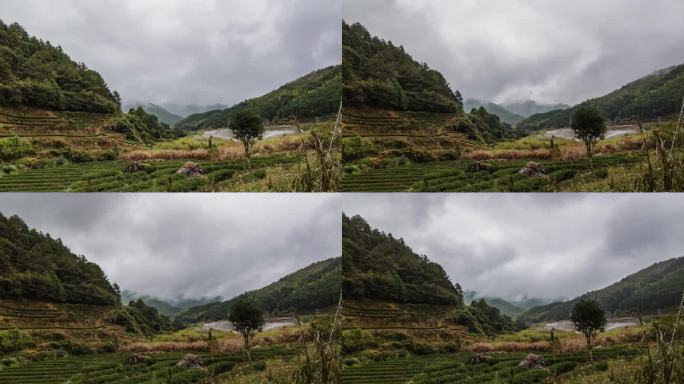 武夷山岩茶大红袍茶园山雾云雾风景延时视频