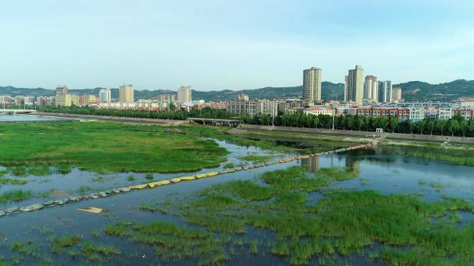 卢氏县城洛河湿地夏季航拍1