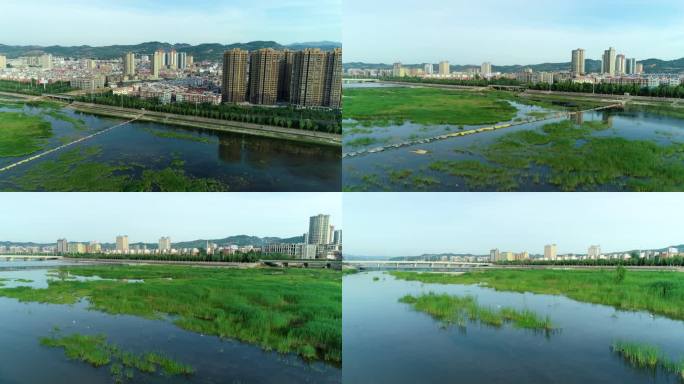 卢氏县城洛河湿地夏季航拍1