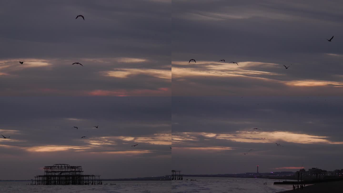 英国4k素材黄昏下的布莱顿海边海鸥飞过