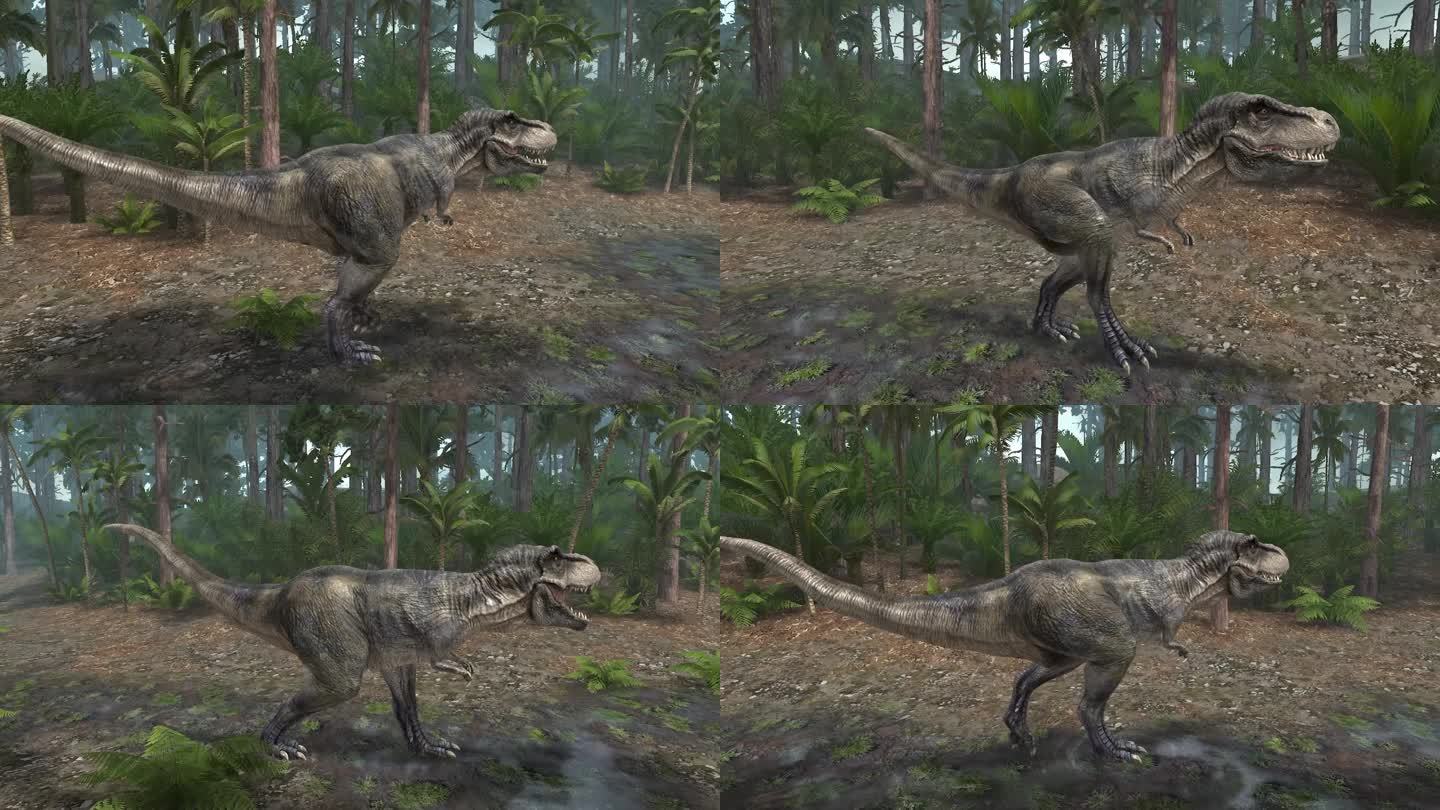 恐龙 霸王龙 侏罗纪 白垩纪 三叠纪动画