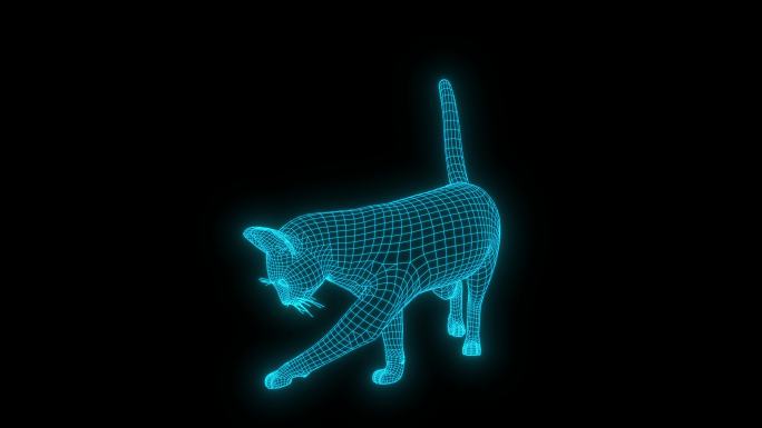 蓝色全息猫动画 【带通道】