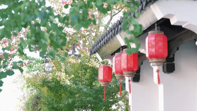 古建筑树叶灯笼屋檐