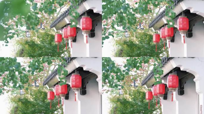 古建筑树叶灯笼屋檐