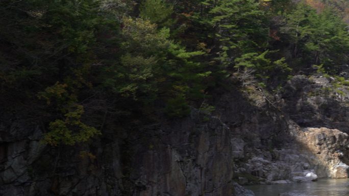 Panning拍摄Ryuyo Gorge Nikko Tochigi日本