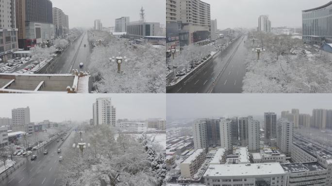 涿州范阳路雪景-3