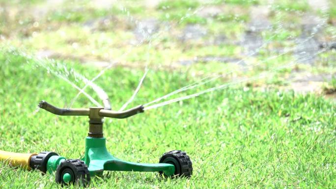 施普林格水系统用于花园植物浇水
