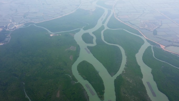 湛江红树林附近湿地的航拍