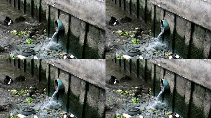 脏水污染散步休闲