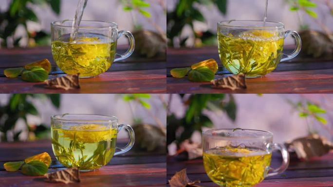 金丝菊和绿茶泡茶情景慢动作