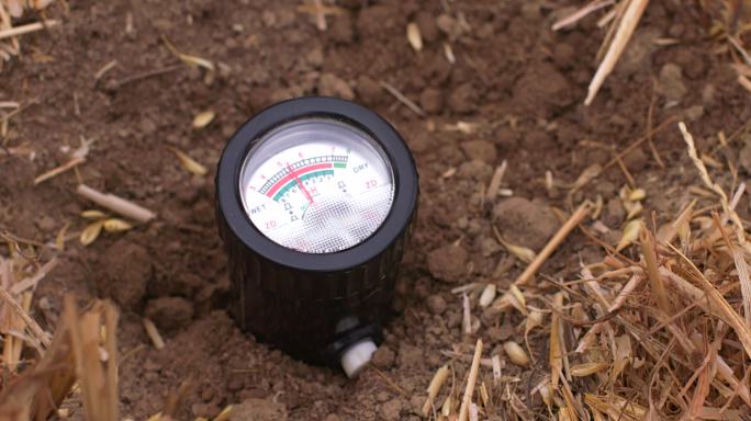 土壤检测 土质观察