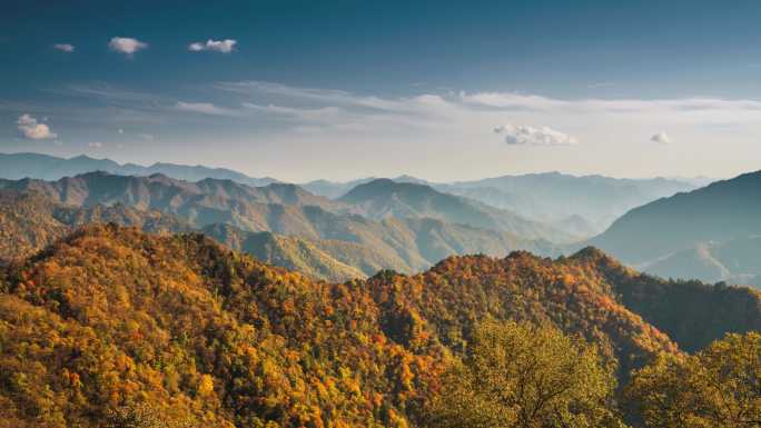 秦岭黄柏塬秋色延时4K