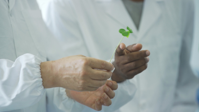 光照植物研究