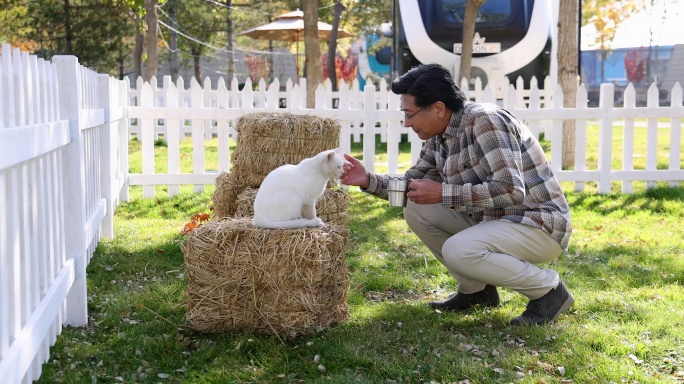 一个老年男人蹲在院子里和猫玩耍