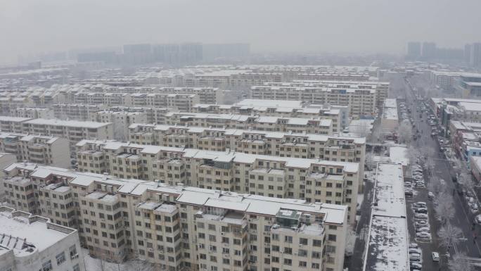 涿州范阳路雪景-5