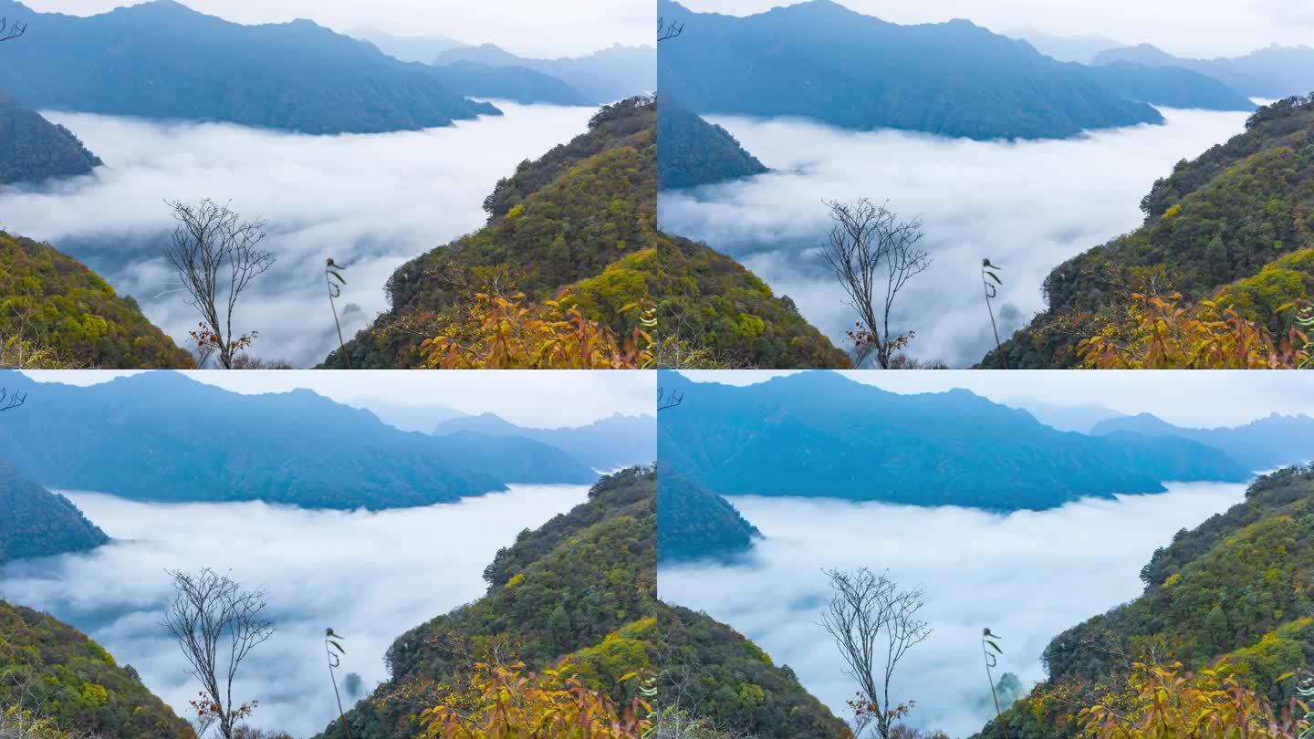 陕西汉中龙头山