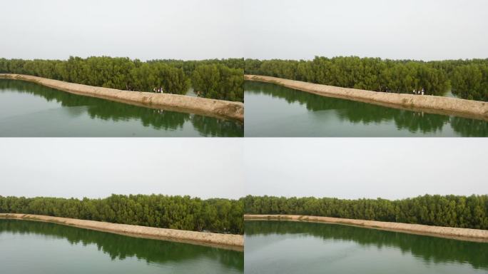湛江红树林附近湿地的航拍