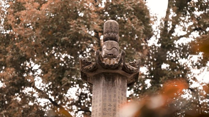 成都 文殊院 实景拍摄 秋天