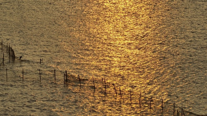 福建泉州石湖石城墙夕阳余晖海面航拍空镜头