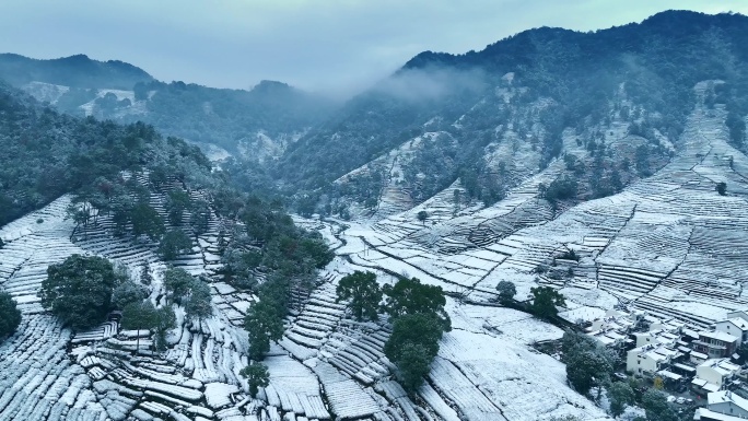 航拍梅家坞雪景