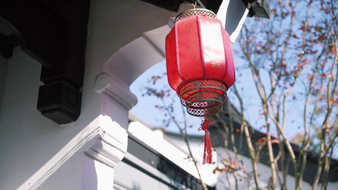 古建筑树枝灯笼屋檐阳光风