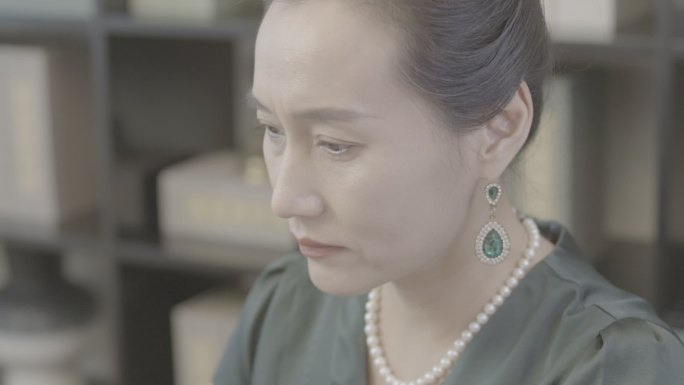 女强人高管企业家妻子