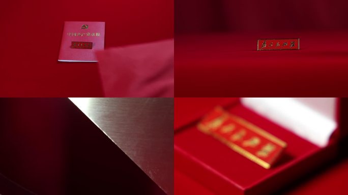 4K为人民服务 红色党政党徽党员党旗党建