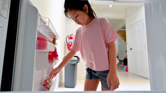 食物的数量冰箱储藏食物智能电器