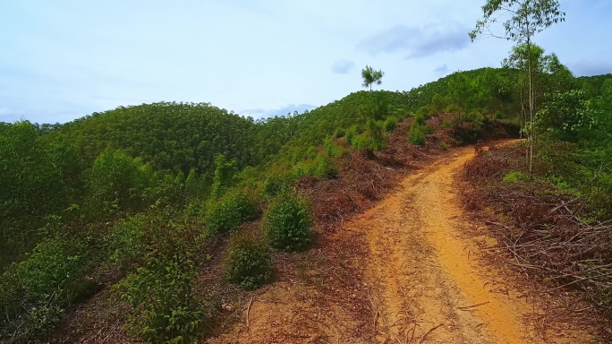 航拍山地越野车丛林赛道