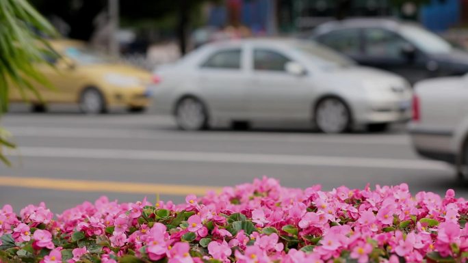 城市街道车流