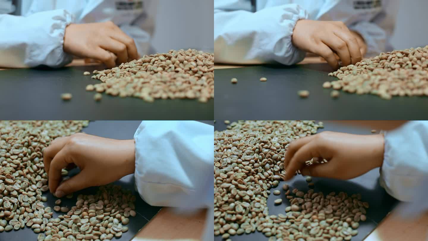 乡村振兴农业科技视频咖啡豆手工挑拣分级