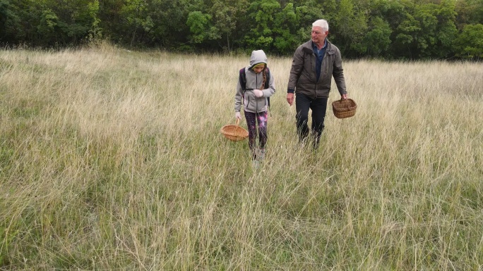 祖父和孙女秋天在草地上采摘草药和蘑菇