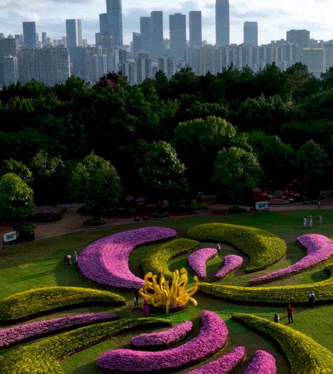 高清竖屏航拍南宁青秀山菊花展美丽风景