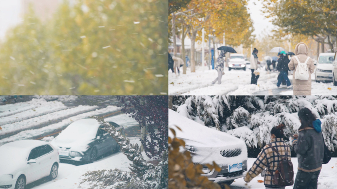 大雪立冬雪雪景下雪暴雪冬天冬至唯美雪花冬