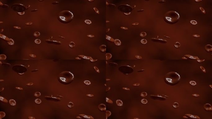 动脉中的红细胞。3d动画。