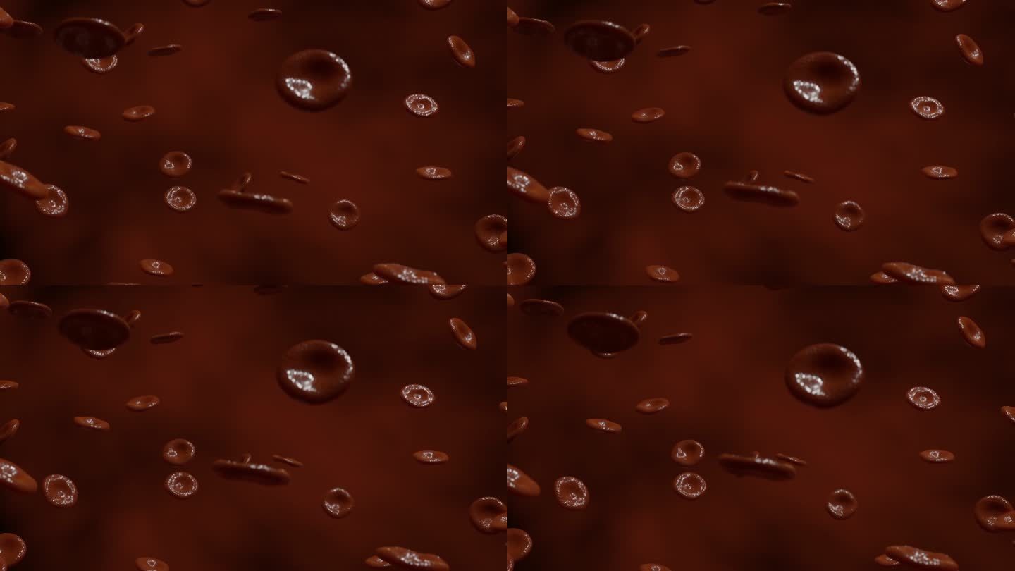 动脉中的红细胞。3d动画。