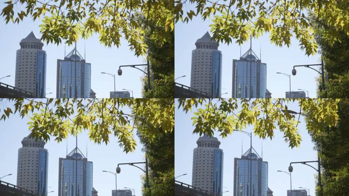建国门外大街 街拍 国贸桥 地标 建筑