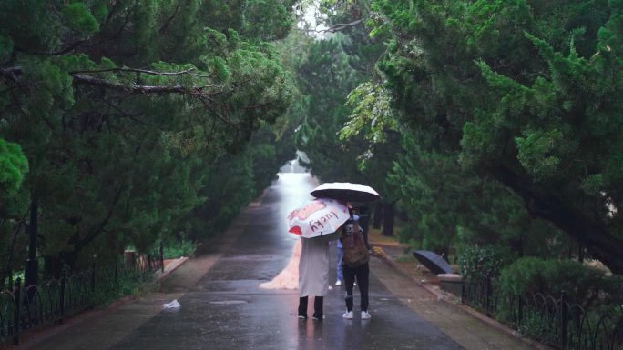 雨天八大关