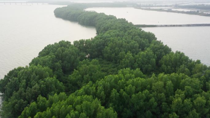 湛江红树林附近湿地的航拍